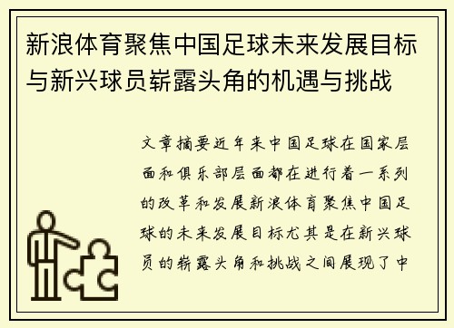 新浪体育聚焦中国足球未来发展目标与新兴球员崭露头角的机遇与挑战